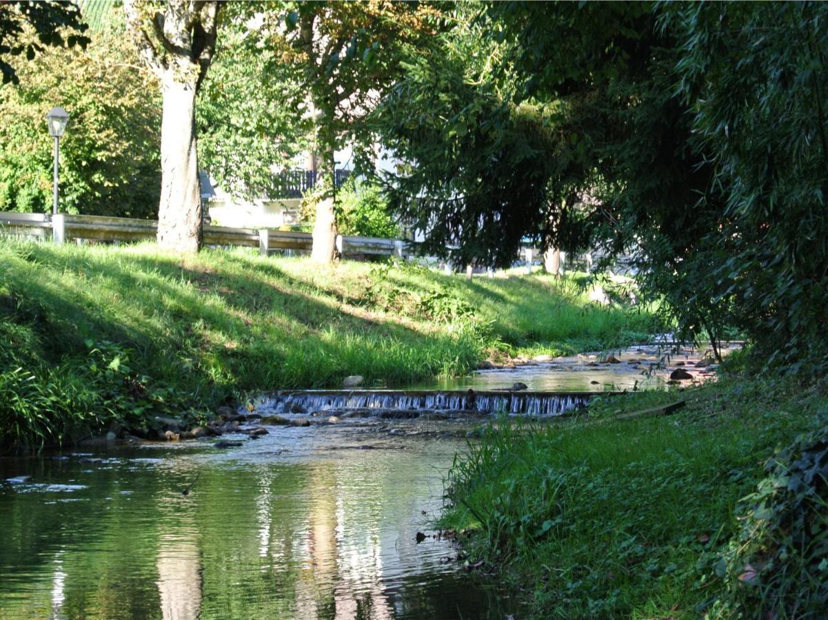 Landhaus Edelmann Mullheim  Buitenkant foto
